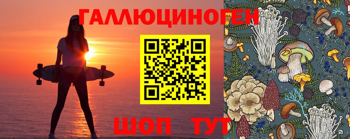 Псилоцибиновые грибы MAGIC MUSHROOMS  Псилоцибиновые грибы прущие грибы  Вход с VPN  Егорьевск 