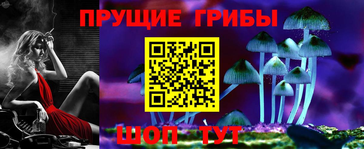 Галлюциногенные грибы MAGIC MUSHROOMS Егорьевск